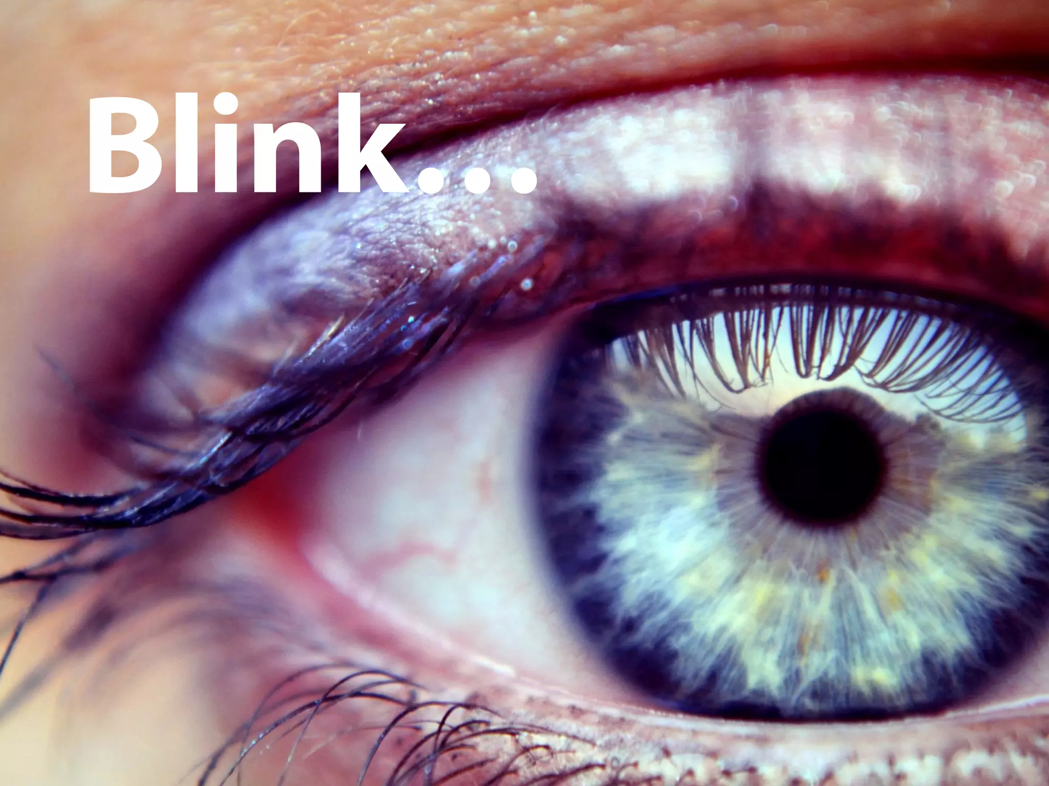 Blink…
 