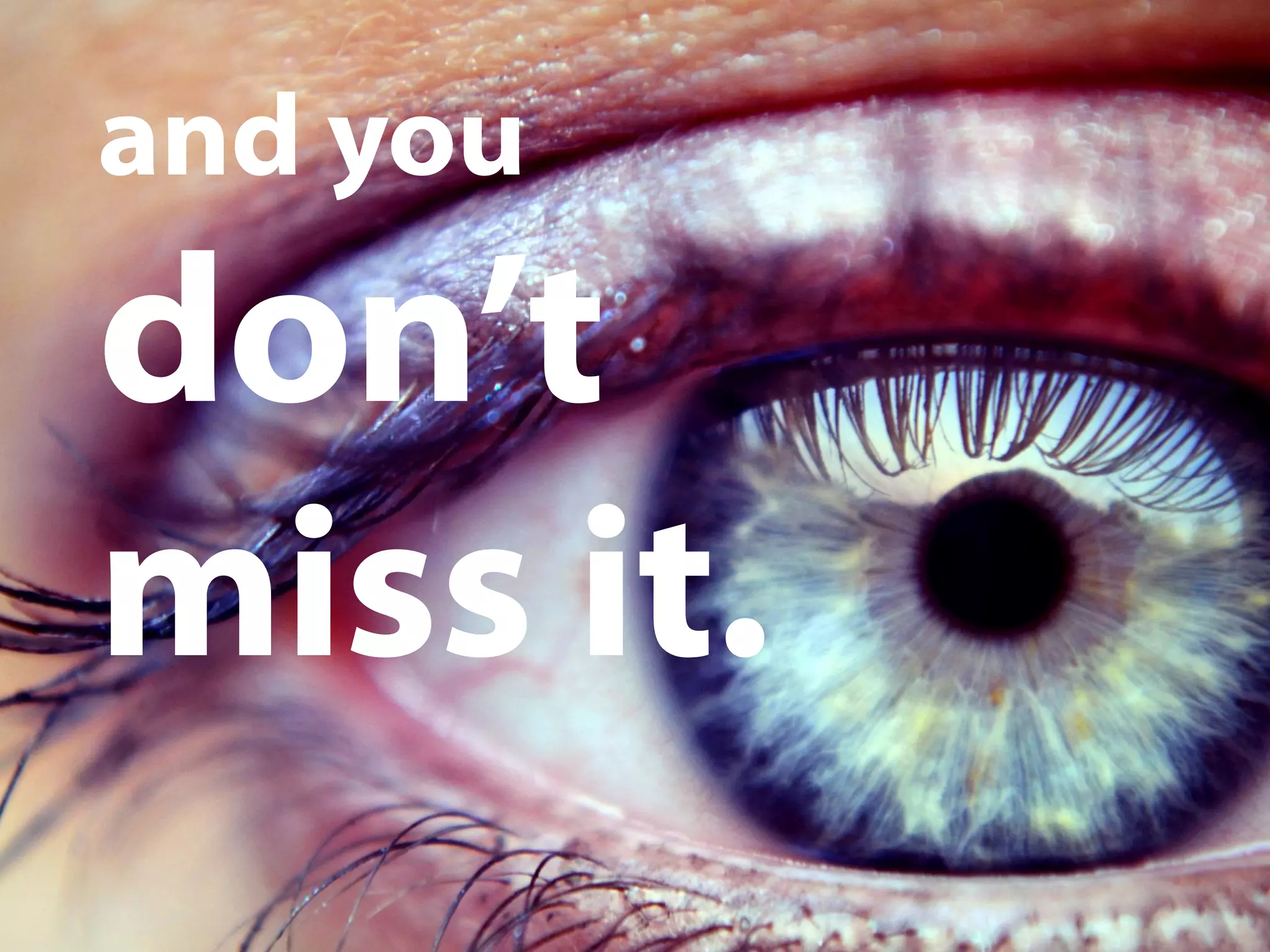 and you
don’t
miss it.
 