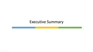 Executive Summary
 