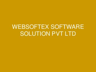 WEBSOFTEX SOFTWARE
SOLUTION PVT LTD
 