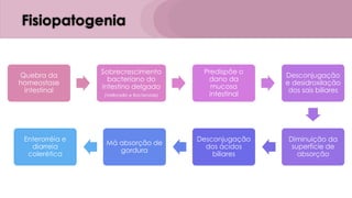 Fisiopatogenia
Quebra da
homeostase
intestinal
Sobrecrescimento
bacteriano do
intestino delgado
(Veillonella e Bacteroide)
Predispõe o
dano da
mucosa
intestinal
Desconjugação
e desidroxilação
dos sais biliares
Diminuição da
superfície de
absorção
Desconjugação
dos ácidos
biliares
Má absorção de
gordura
Enterorréia e
diarreia
colerética
 