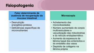 Fisiopatogenia
Fator determinante de
ausência de recuperação da
mucosa intestinal
• Desnutrição
energético-proteica
• Deficiências específicas de
micronutrientes
Microscopia
• Achatamento das
microvilosidades
• Número aumentado de corpos
multivesiculares e
vacuolização das mitocôndrias
e do retículo endoplasmático.
• Aumento da espessura da
lâmina basal dos enterócitos e
do endotélio dos vasos
• Depósito de colágeno na
lâmina própria
 