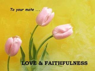 To your mate ...




      LOVE & FAITHFULNESS