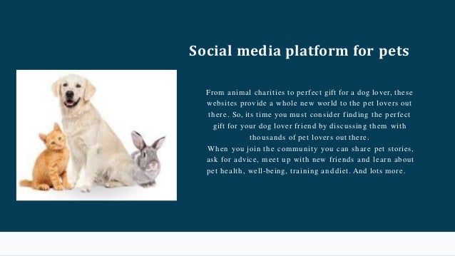 charity gifts for dog lovers