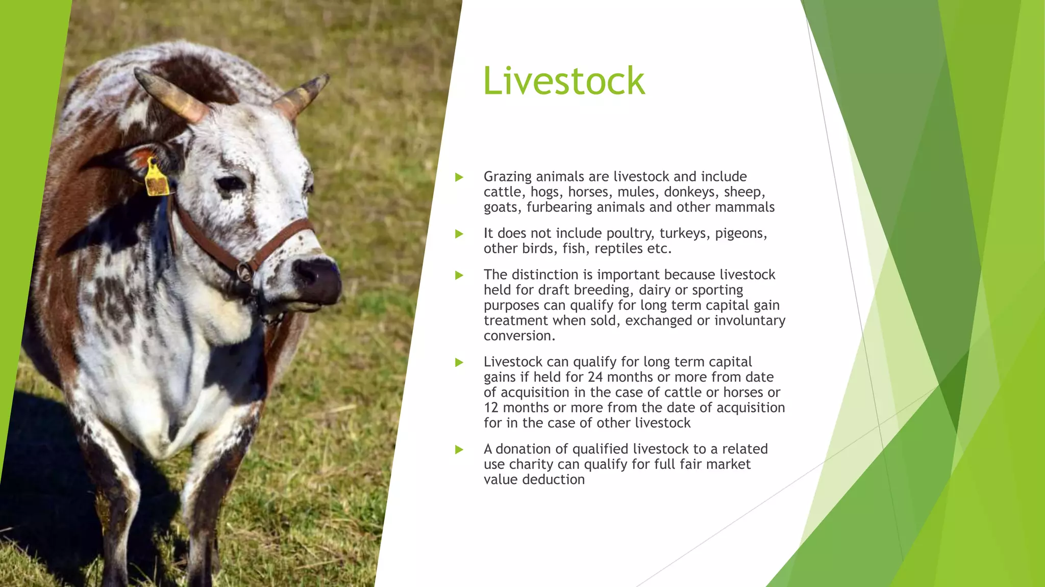 Livestock
 Grazing animals are livestock and include
cattle, hogs, horses, mules, donkeys, sheep,
goats, furbearing animals and other mammals
 It does not include poultry, turkeys, pigeons,
other birds, fish, reptiles etc.
 The distinction is important because livestock
held for draft breeding, dairy or sporting
purposes can qualify for long term capital gain
treatment when sold, exchanged or involuntary
conversion.
 Livestock can qualify for long term capital
gains if held for 24 months or more from date
of acquisition in the case of cattle or horses or
12 months or more from the date of acquisition
for in the case of other livestock
 A donation of qualified livestock to a related
use charity can qualify for full fair market
value deduction
 