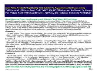 Sweet Potato Provides For Rapid Scaling Up Of Nutrition Via Propagation And Continuous Farming
Yield Potential:120 Potato Seeds Could Yield12,496,463EdiblePotatoes And Leaves For Hunger,
Plus Produce 4,232,403 Damaged Potatoes For Use As Bio-Feedstock, Biomaterial And Biofuel
Harvest Potential Comes from Propagations of: A) Potato “Seed” Plants; B) Vine Cuttings
Propagation calculation basis: each potato seed produces a minimum of 5 slips x 3 slip cuttings from seed bed x 3 vine
cuttings from field growth x .85 (mortality factor) x 4 potatoes/plant = 153 potatoes x .83 (damage losses) = 126 potatoes.
Factoring in potential 10% storage rot = 114 edible potatoes and leaves – with 39 damaged potatoes for use in bio-feedstock,
biomaterial and biofuels. At end of the harvest, 10% of the edible potato crop gets replanted as seed to generate new slip
cuttings. (Need to test throttling water and nitrogen for increasing yield of edible leaves without harming potatoes.) Also,
sweet potato food processing wastes can be added to the crop damage amount for even more bio-feedstock.
Generation 1
120 seeds x 5 slips x 3 slip cuttings from each bed x 3 vine cuttings from field growth x .85 (mortality rate) x 4 potatoes per
plant = 18,360 potatoes x .83 (damage losses) = 15,238 potatoes x .9 for losses in storage: 13,715 edible potatoes plus
edible leaves -- and 4,645 damaged potatoes for bio-feedstock, biomaterial and biofuel
Generation 2
1,371 seeds x 5 slips x 3 slip cuttings from each bed x 3 vine cuttings from field growth x .85 (mortality rate) x 3.6 potatoes
per plant = 188,786 potatoes x .83 (damage losses) = 156,693 potatoes x .9 for losses in storage: 141,023 edible potatoes
plus edible leaves -- and 47,763 damaged potatoes for bio-feedstock, biomaterial and biofuel
Generation 3
14,102 seeds x 5 slips x 3 slip cuttings from each bed x 3 vine cuttings from field growth x .85 (mortality rate) x 3.2 potatoes
per plant = 1,726,085 potatoes x .83 (damage losses) = 1,432,650 potatoes x .9 for losses in storage = 1,289,385 edible
potatoes plus edible leaves – and 436,700 damaged potatoes for bio-feedstock, biomaterial and biofuel
Generation 4
128,938 seeds x 5 slips x 3 slip cuttings from each bed x 3 vine cuttings from field growth x .85 (mortality rate) x 3 potatoes
per plant = potatoes = 14,795,635 potatoes x .83 (damage) = 12,280,377 x .9 for losses in storage = 11,052,340 edible
potatoes plus edible leaves – and 3,743,295 damaged potatoes for bio-feedstock, biomaterial and biofuel
Total Harvest Potential: 12,496,463 edible potatoes and leaves from 120 seeds; plus 4,232,403 in damages for biomaterial
and biofuel. (Note: there will also be incremental food processing wastes estimated @ ~20% to add to the bio-feedstock.)
Note:companiesnot currently engaged in addressing hunger, wellbeing and poverty could engage to secure bio-feedstock.
Note: Available ICT Can Help Optimize And Track Propagations And Manage Agribusiness P&L
SOURCE: LSU Ag Center Validation 104
 