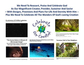 We Need To Reassert, Praise And Celebrate God
As Our Magnificent Creator, Provider, Sustainer And Savior
– With Designs, Provisions And Plans For Life And Eternity With Him --
Plus We Need To Celebrate All The Wonders Of God’s Loving Creation
“The Human Body Is A Miracle Of
Microscopic Design”
Tens of thousands of miles of blood vessels;
Each organ made of billions of cells; etc.
Tomatoes Talk To Their Neighbors
www.youtube.com/watch?v=kvprxzfsYQU https://www.thisiscolossal.com/2016/05/bioluminescent-jellyfish/
 