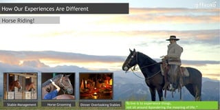 Horse Riding!
Stable Management Horse Grooming Dinner Overlooking Stables “To live is to experience things,
not sit around &pondering the meaning of life.”
How Our Experiences Are Different
 