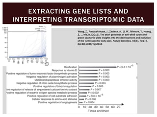 EXTRACTING GENE LISTS AND
INTERPRETING TRANSCRIPTOMIC DATA
Wang, Z., Pascual-Anaya, J., Zadissa, A., Li, W., Niimura, Y., Huang,
Z., … Irie, N. (2013). The draft genomes of soft-shell turtle and
green sea turtle yield insights into the development and evolution
of the turtle-specific body plan. Nature Genetics, 45(6), 701–6.
doi:10.1038/ng.2615
 