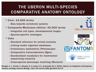  Core: 14,000 terms
o Bias towards vertebrate systems
 Composite-Metazoan edition: 42,000 terms
o Integrates cell types, developmental stages,
o Species-specific ontologies
 Uses
o Standard reference for animal anatomy
o Linking model organism databases
o Evolutionary systematics (Phenoscape)
o Comparative transcriptomics (Bgee)
o Standardized vocabulary for mammalian
sequencing consortia
o Cross-species phenotype matching (Monarch)
THE UBERON MULTI-SPECIES
COMPARATIVE ANATOMY ONTOLOGY
http://uberon.org
Mungall, C. J., Torniai, C., Gkoutos, G. V, Lewis, S. E., & Haendel, M. A. (2012). Uberon, an integrative multi-species
anatomy ontology. Genome Biology, 13(1), R5. doi:10.1186/gb-2012-13-1-r5
 
