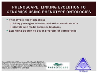 PHENOSCAPE: LINKING EVOLUTION TO
GENOMICS USING PHENOTYPE ONTOLOGIES
 Phenotypic knowledgebase
o Linking phenotypes to extant and extinct vertebrate taxa
o Integrate with model organism databases
 Extending Uberon to cover diversity of vertebrates
Haendel, MA, Balhoff JP, ..., Sereno, PC., Mungall, C.J (2014).
Unification of multi-species vertebrate anatomy ontologies for
comparative biology in Uberon. Journal of Biomedical Semantics,
5(1), 21. doi:10.1186/2041-1480-5-21
 
