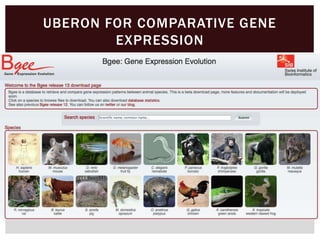 UBERON FOR COMPARATIVE GENE
EXPRESSION
 