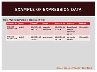 EXAMPLE OF EXPRESSION DATA
Ensembl ID Gene Stage ID Stage Anatomy ID Anatomy Evidence
ENSMUSG
00000071424
Grid2 UBERON:00
00112
sexually
immature
UBERON:00
02979
Purkinje cell
layer of
cerebellar
cortex
high quality
ENSMUSG
00000071424
Grid2 UBERON:00
18241
prime adult UBERON:00
04720
cerebellar
vermis
high quality
Mus_musculus (‘simple’ expression file)
http://bgee.org/?page=download
 