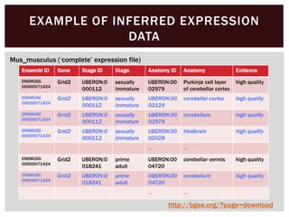 EXAMPLE OF INFERRED EXPRESSION
DATA
Ensembl ID Gene Stage ID Stage Anatomy ID Anatomy Evidence
ENSMUSG
00000071424
Grid2 UBERON:0
000112
sexually
immature
UBERON:00
02979
Purkinje cell layer
of cerebellar cortex
high quality
ENSMUSG
00000071424
Grid2 UBERON:0
000112
sexually
immature
UBERON:00
02129
cerebellar cortex high quality
ENSMUSG
00000071424
Grid2 UBERON:0
000112
sexually
immature
UBERON:00
02979
cerebellum high quality
ENSMUSG
00000071424
Grid2 UBERON:0
000112
sexually
immature
UBERON:00
02028
hindbrain high quality
… …
ENSMUSG
00000071424
Grid2 UBERON:0
018241
prime
adult
UBERON:00
04720
cerebellar vermis high quality
ENSMUSG
00000071424
Grid2 UBERON:0
018241
prime
adult
UBERON:00
04720
cerebellum high quality
… …
Mus_musculus (‘complete’ expression file)
http://bgee.org/?page=download
 