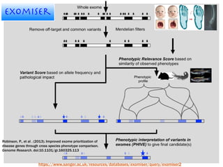 https://www.sanger.ac.uk/resources/databases/exomiser/query/exomiser2
Robinson, P., et al . (2013). Improved exome prioritization of
disease genes through cross species phenotype comparison.
Genome Research. doi:10.1101/gr.160325.113
 