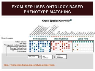 http://monarchinitiative.org/analyze/phenotypes/
EXOMISER USES ONTOLOGY-BASED
PHENOTYPE MATCHING
cleft palate = cleft
(attribute)
palate
(structure)+
 