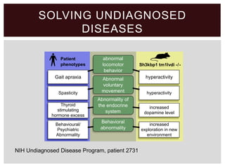 SOLVING UNDIAGNOSED
DISEASES
Behavioural/
Psychiatric
Abnormality
Thyroid
stimulating
hormone excess
Gait apraxia
Spasticity
increased
exploration in new
environment
increased
dopamine level
hyperactivity
hyperactivity
Behavioral
abnormality
Abnormality of
the endocrine
system
abnormal
locomotor
behavior
Abnormal
voluntary
movement
Patient
phenotypes Sh3kbp1 tm1Ivdi -/-
NIH Undiagnosed Disease Program, patient 2731
 