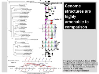 Desvignes, T., Pontarotti, P., & Bobe, J. (2010).
Nme gene family evolutionary history reveals pre-
metazoan origins and high conservation between
humans and the sea anemone, nematostella
vectensis. PLoS ONE, 5(11).
doi:10.1371/journal.pone.0015506
Genome
structures are
highly
amenable to
comparison
 