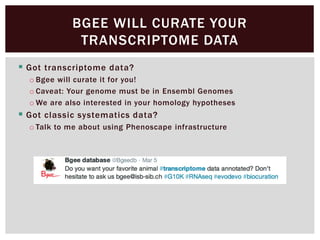  Got transcriptome data?
o Bgee will curate it for you!
o Caveat: Your genome must be in Ensembl Genomes
o We are also interested in your homology hypotheses
 Got classic systematics data?
o Talk to me about using Phenoscape infrastructure
BGEE WILL CURATE YOUR
TRANSCRIPTOME DATA
 