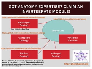 Uberon Core
GOT ANATOMY EXPERTISE? CLAIM AN
INVERTEBRATE MODULE!
Thacker, R. W., Díaz, M. C., Kerner, A., Vignes-Lebbe, R., Segerdell, E.,
Haendel, M. a, & Mungall, C. J. (2014). The Porifera Ontology (PORO):
enhancing sponge systematics with an anatomy ontology. Journal of
Biomedical Semantics, 5(1), 39
Vertebrate
structures
Porifera
Ontology
Ctenophore
Ontology
Cephalopod
Ontology
http://phenotypercn.org
Eric Edsinger, CephSeq
https://github.com/obophenotype/cephalopod-ontology
https://github.com/obophenotype/ctenophore-ontology
https://github.com/obophenotype/porifera-ontology
https://github.com/obophenotype/uberon
Arthropod
Ontology
 