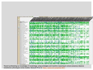 Toward synthesizing our knowledge of morphology: using ontologies and machine reasoning to extract presence/absence
evolutionary phenotypes across studies. Dececchi TA et al. https://peerj.com/preprints/807/
 
