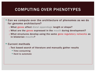 Can we compute over the architecture of phenomes as we do
for genome architecture?
o What genes affect distal appendage length or shape?
o What are the genes expressed in the mouth during development?
o What structures develop using the same gene regulatory networks as
in bilaterian mouths?
 Current methods
o Text based search of literature and manually gather results
 Time consuming
 Hard to automate
COMPUTING OVER PHENOTYPES
 