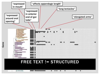 Gene “expressed
in mouth”
“affects appendage length”
“long tentacles”
“elongated arms”
FREE TEXT != STRUCTURED
“expressed
around oral
opening”
“expressed
in anterior
end of gut
tube”
 