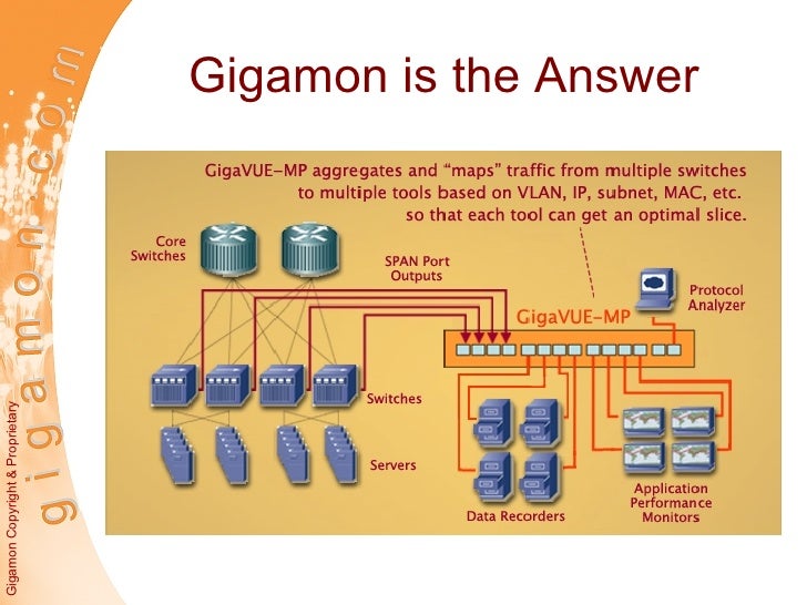 Gigamon Systems Case Studies