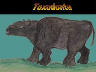 Toxodonte 