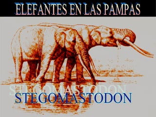 ELEFANTES EN LAS PAMPAS STEGOMASTODON 