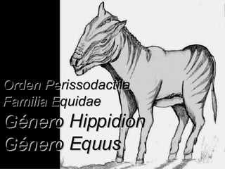 Orden Perissodactila Familia Equidae Género Hippidion Género Equus 