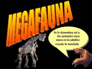 MEGAFAUNA Se le denomina así a los animales cuya masa en la adultez  excede la tonelada   