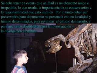 Se debe tener en cuenta que un fósil es un elemento único e irrepetible, lo que resalta la importancia de su conservación y la responsabilidad que esto implica.  Por lo tanto deben ser preservados para documentar su presencia en una localidad y tiempo determinados, para revalidar  el estudio  del pasado, y para que estén disponibles para la investigación   y la divulgación científica 