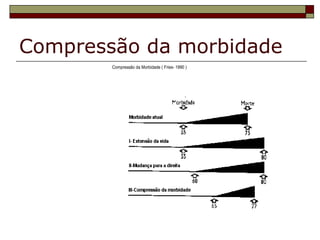 Compressão da morbidade 