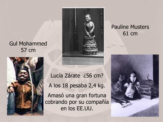 Pauline Musters 61 cm Gul Mohammed   57 cm Lucía Zárate  ¿56 cm? A los 18 pesaba 2,4 kg. Amasó una gran fortuna cobrando por su compañía en los EE.UU. 