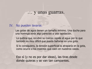 …  y unas guarras. IV.  No pueden lavarse. Las gotas de agua tienen un tamaño mínimo. Una ducha para una hormiga sería algo parecido a una lapidación.  Si lo consiguiera, la tensión superficial la atraparía en la gota, como ocurre a los insectos que caen en nuestros vasos. La quitina que recubre su cuerpo repele el agua por lo que también es muy difícil que pueda bañarse en una gota. Eso sí (y no es por dar ideas), las tiras desde donde quieras y se van tan campantes. 