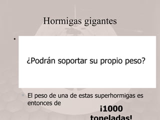 Hormigas gigantes En  Them! , hormigas sometidas a la radiación de una prueba nuclear crecen hasta los 10 m. Una hormiga común mide aproximadamente un centímetro y pesa escasamente un gramo.  El factor de escala de esta transformación es 10 m / 1 cm = 1000. El peso de una de estas superhormigas es entonces de ¡1000 toneladas! ¿Podrán soportar su propio peso? 