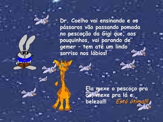 Dr. Coelho vai ensinando e os pássaros vão passando pomada no pescoção da Gigi que, aos pouquinhos, vai parando de gemer – tem até um lindo sorriso nos lábios! Ela mexe o pescoço pra cá, mexe pra lá e, beleza!!!  Está ótima!!! 