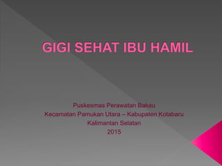 Puskesmas Perawatan Bakau
Kecamatan Pamukan Utara – Kabupaten Kotabaru
Kalimantan Selatan
2015
 