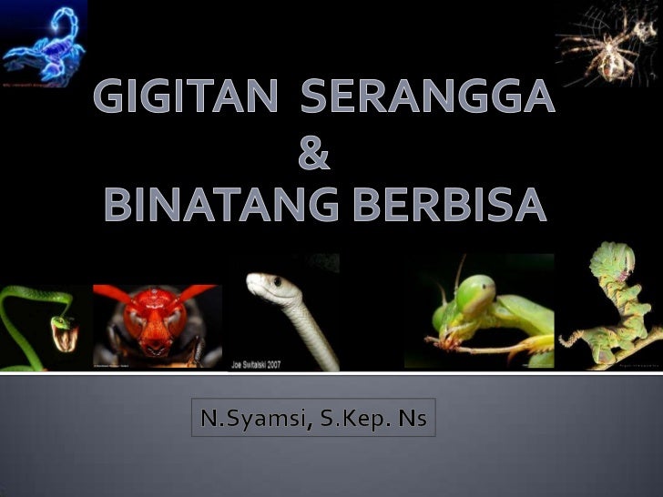 Gigitan Serangga Dan Binatang Berbisa