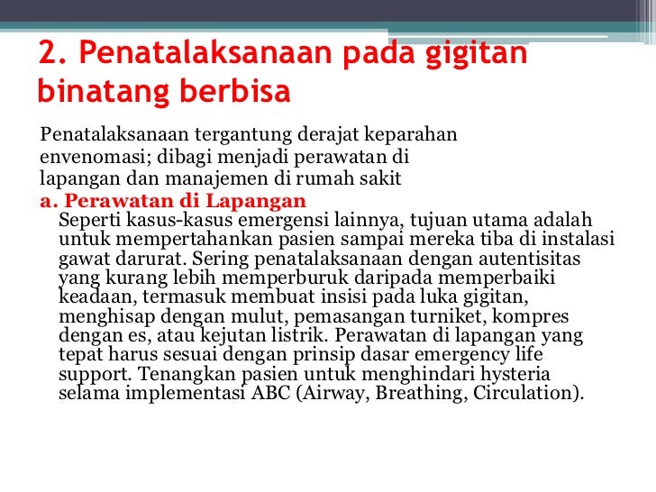 Gigitan serangga dan binatang berbisa