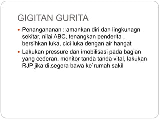 Abc Rjp gigitan_serangga_n_ular_ppt.ppt