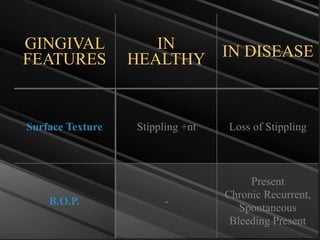 GINGIVAL
FEATURES
IN
HEALTHY IN DISEASE
Surface Texture Stippling +nt Loss of Stippling
B.O.P. -
Present
Chronic Recurrent,
Spontaneous
Bleeding Present
 