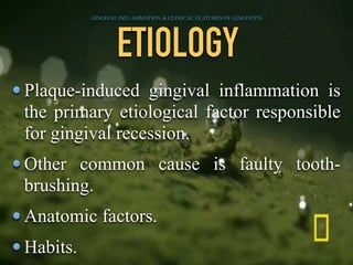 ETIOLOGY
Plaque-induced gingival inflammation is
the primary etiological factor responsible
for gingival recession.
Other common cause is faulty tooth-
brushing.
Anatomic factors.
Habits.
GINGIVAL INFLAMMATION & CLINICAL FEATURES OF GINGIVITIS
 