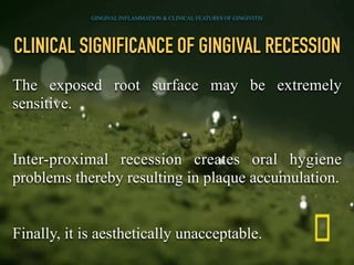 CLINICAL SIGNIFICANCE OF GINGIVAL RECESSION
The exposed root surface may be extremely
sensitive.
Inter-proximal recession creates oral hygiene
problems thereby resulting in plaque accumulation.
Finally, it is aesthetically unacceptable.
GINGIVAL INFLAMMATION & CLINICAL FEATURES OF GINGIVITIS
 