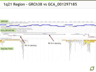Creating Reference-Grade Human Genome Assemblies