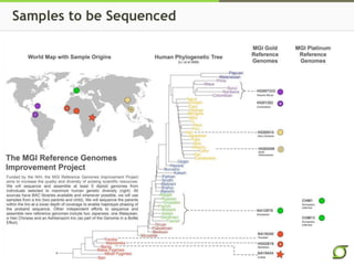 Creating Reference-Grade Human Genome Assemblies