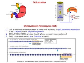 Gastrointestinal hormones ( Gastrin , secretin and cholecystokinin) | PDF