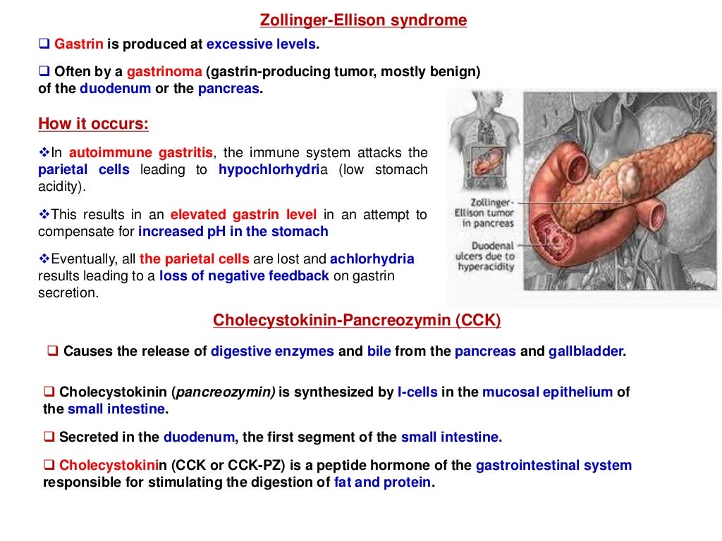 Gastrointestinal hormones ( Gastrin , secretin and cholecystokinin)