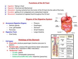 Functions of the GI Tract
 Ingestion: Taking in food
 Digestion: Chemical and Mechanical
 Absorption: moving nutrients from the lumen of the GI tract into the cells of the body
 Excretion: getting rid of undigested and unabsorbed material
 Movement: movement of ingested food throughout the GI tract
Organs of the Digestive System
 Accessory Digestive Organs:
– Salivary glands
– Liver, gall bladder
– Pancreas
 Digestive Tract:
– Oral Cavity
– Pharynx
– Esophagus
– Stomach
– Small Intestine
– Large Intestine
Histology of the Stomach
• Cell types:
 Chief cells: produce pepsinogen (inactive precursor to
pepsin)
 Parietal cells: produce HCl and intrinsic factor (absorption
of vitamin B12; important in RBC maturation)
 “Endocrine” cells:
• G cells: gastrin
• D cells: somatostatin (paracrine)
• Enterochromaffin-like cells: histamine (paracrine)
 